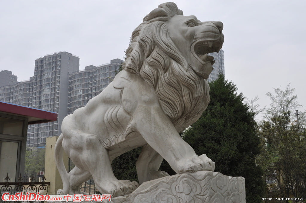 石狮子 狮子 雕塑图片