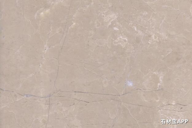 水晶玉兰